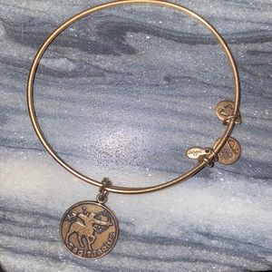 Alex and Ani Sagittarius bangle